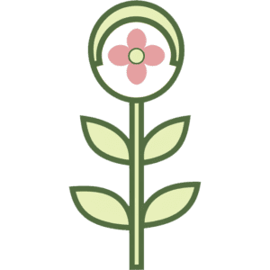 Feminized Seed