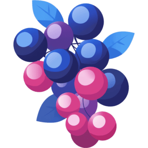 Berry