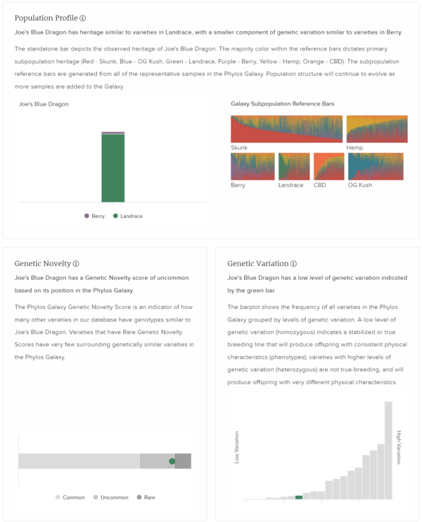 Blue Dragon cannabis strain genotype report showcasing its population profile, genetic novelty, and variation with a focus on Landrace and Berry subpopulations.